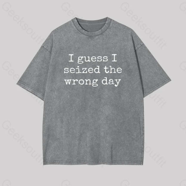 I Guess Seized The Wrong Day Geek Washed T-Shirt Grey / S