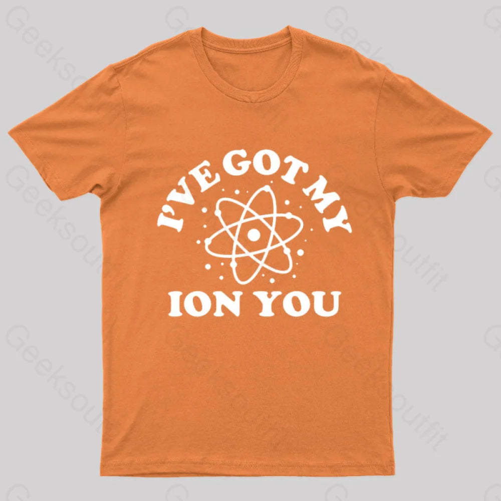 I Have Got My Ion You Nerd T-Shirt Orange / S