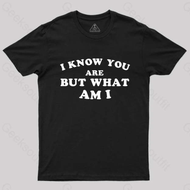 I Know You Are But What Am T-Shirt Black / S Yc