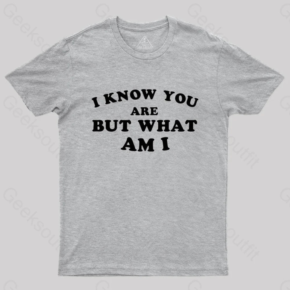 I Know You Are But What Am T-Shirt Grey / S Yc