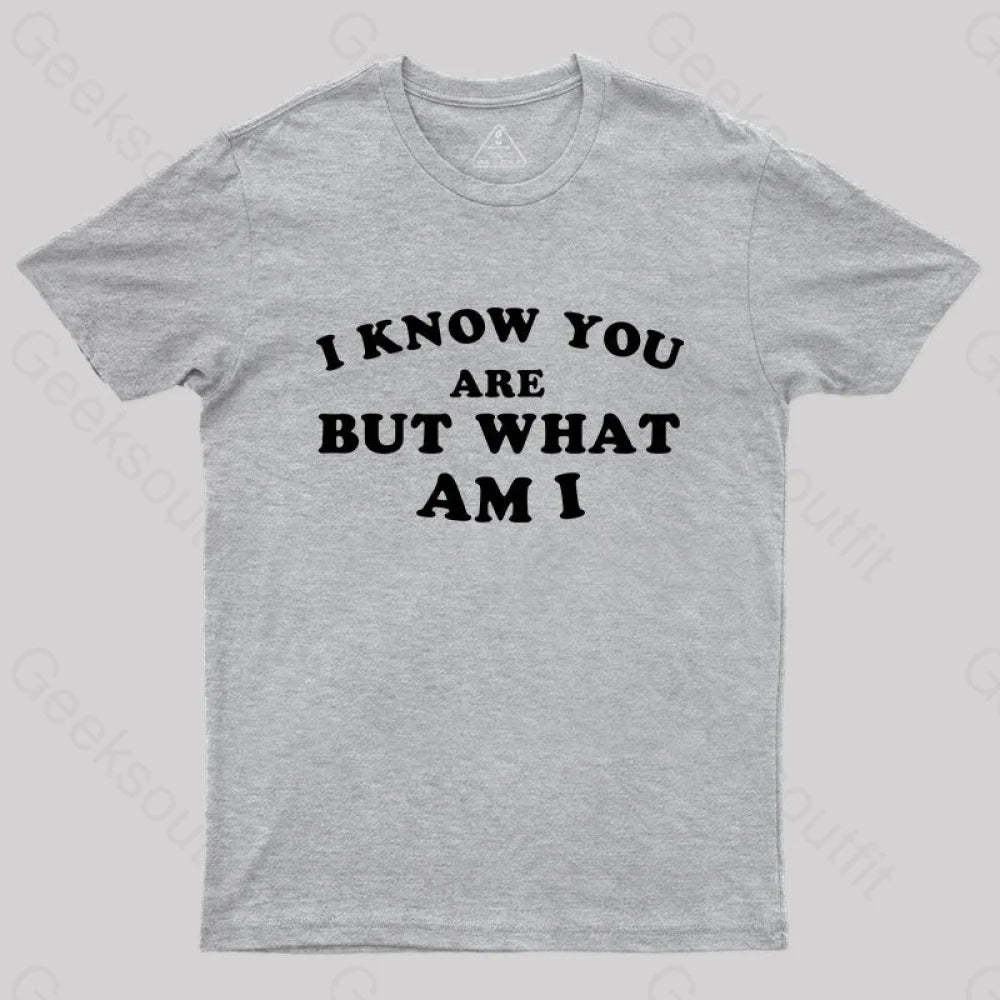 I Know You Are But What Am T-Shirt Grey / S Yc