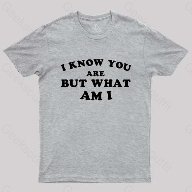 I Know You Are But What Am T-Shirt Grey / S Yc