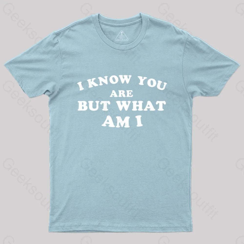 I Know You Are But What Am T-Shirt Light Blue / S Yc