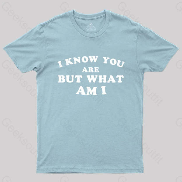 I Know You Are But What Am T-Shirt Light Blue / S Yc