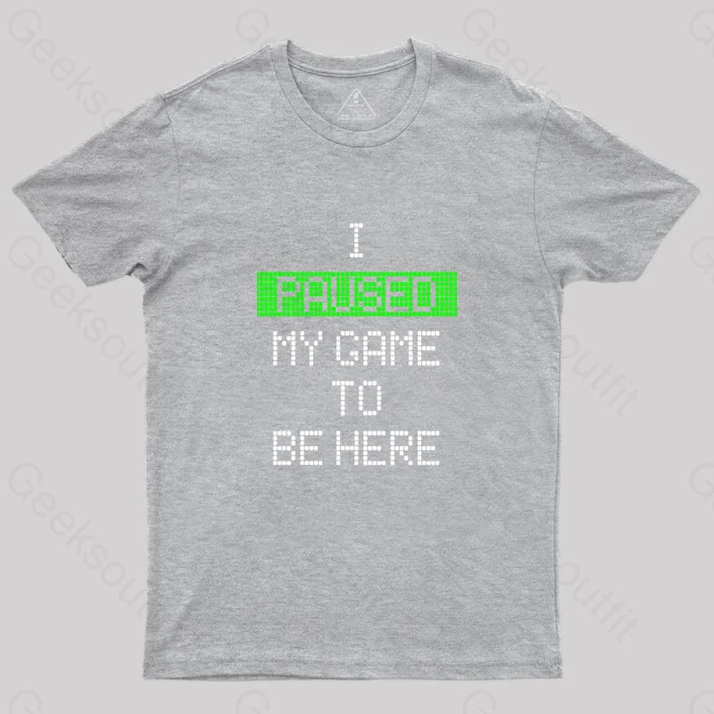 I Paused My Game To Be Here Essential T-Shirt Grey / S