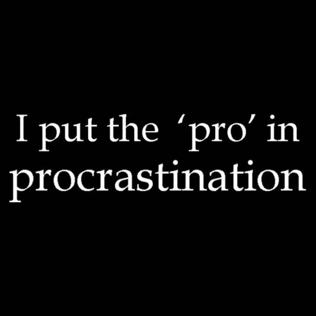 I Put The Pro In Procrastination Nerd T-Shirt