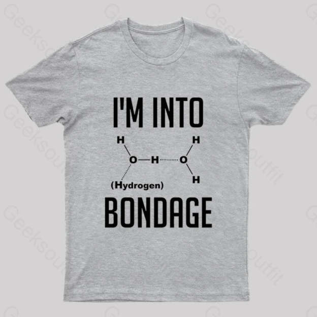 I’m Into Hydrogen Nerd T-Shirt Grey / S