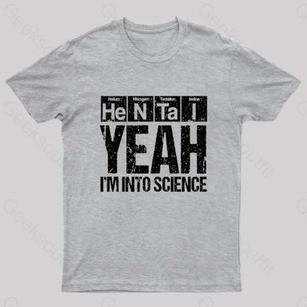 I’m Into Science Geek T-Shirt Grey / S