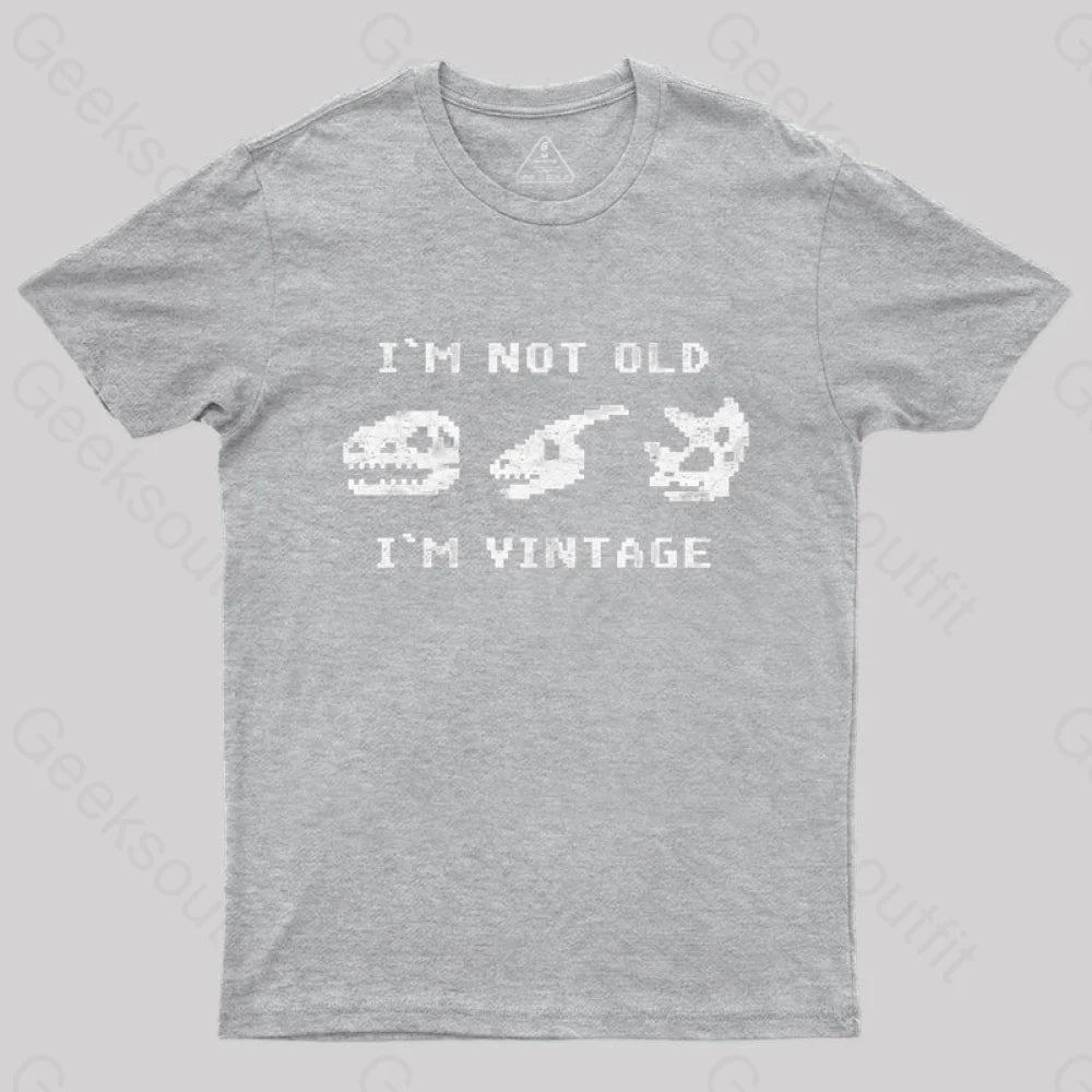 I’m Not Old Vintage - Funny Dinosaur Bones T-Shirt Grey / S