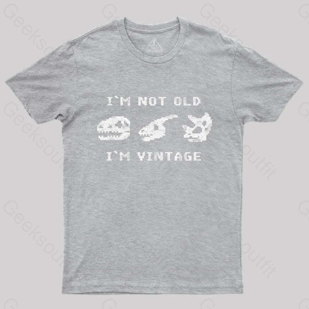I’m Not Old Vintage - Funny Dinosaur Bones T-Shirt Grey / S