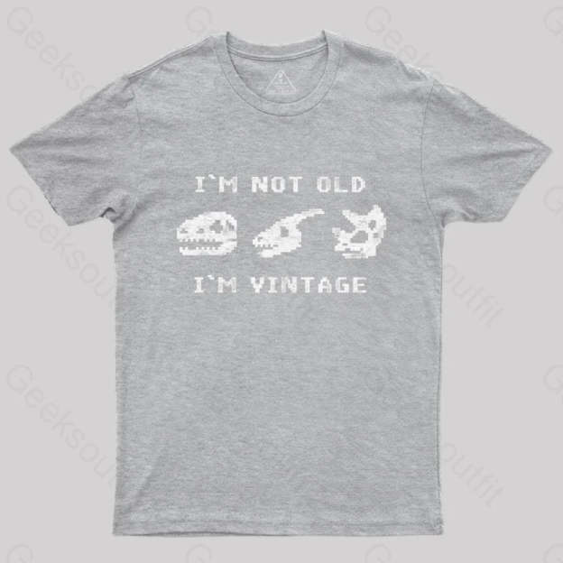 I’m Not Old Vintage - Funny Dinosaur Bones T-Shirt Grey / S