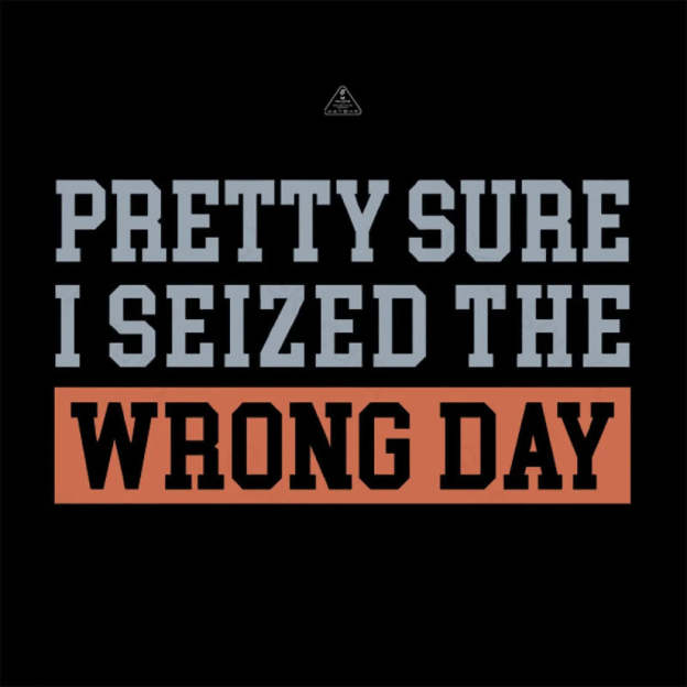 I’m Pretty Sure I Seized The Wrong Day T-Shirt