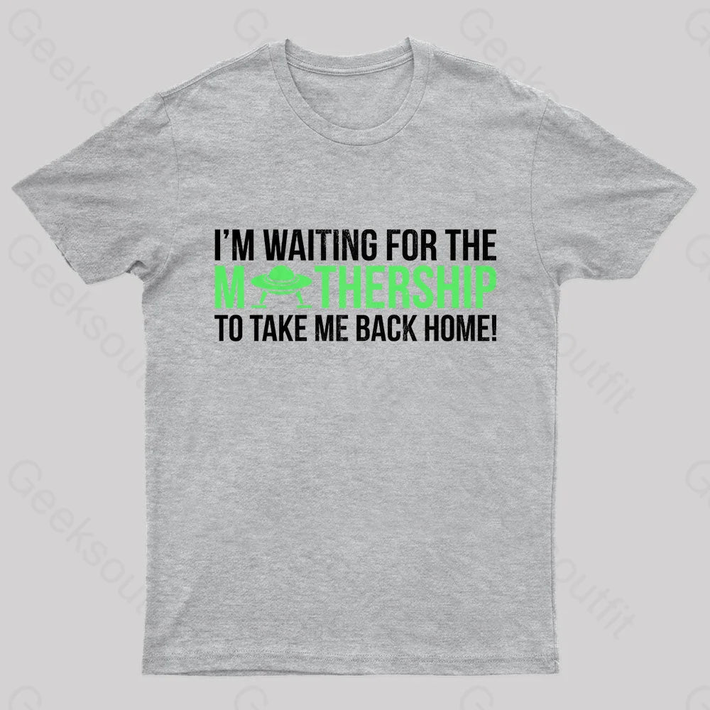 I’m Waiting For The Mothership Nerd T-Shirt Grey / S