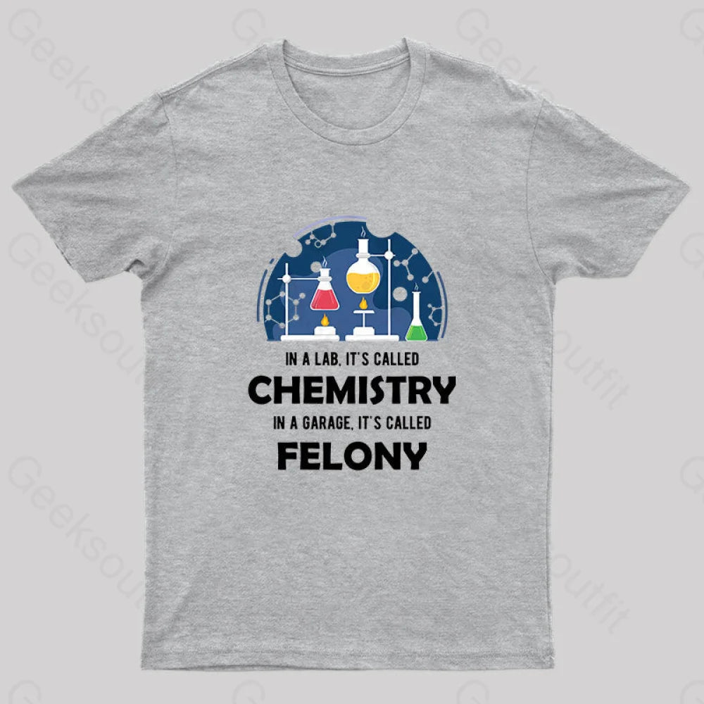 In A Lab It’s Called Chemistry Nerd T-Shirt Grey / S