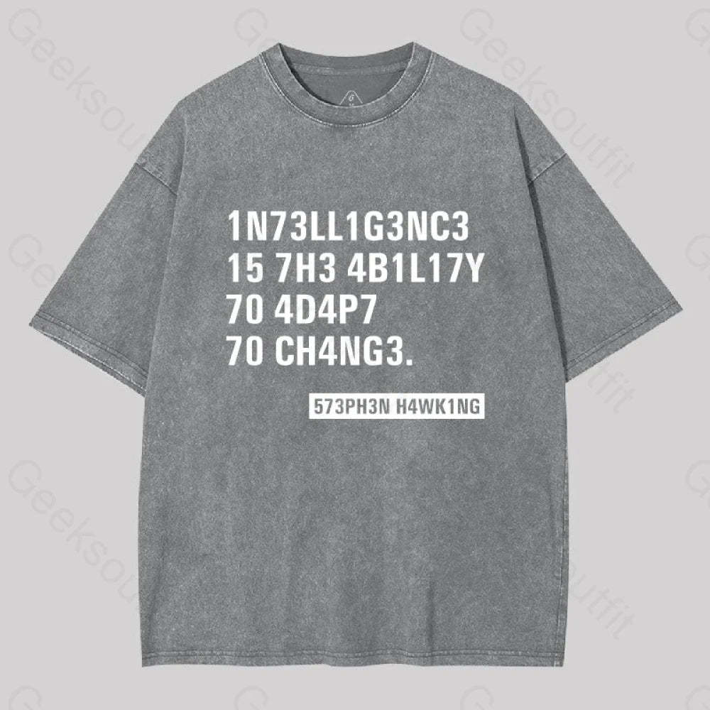 Intelligence - Stephen Hawking Washed T-Shirt Grey / S