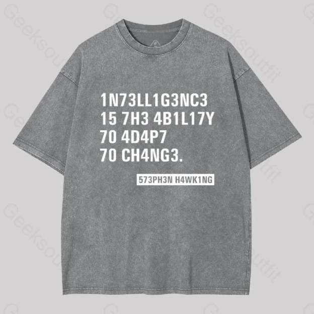 Intelligence - Stephen Hawking Washed T-Shirt Grey / S