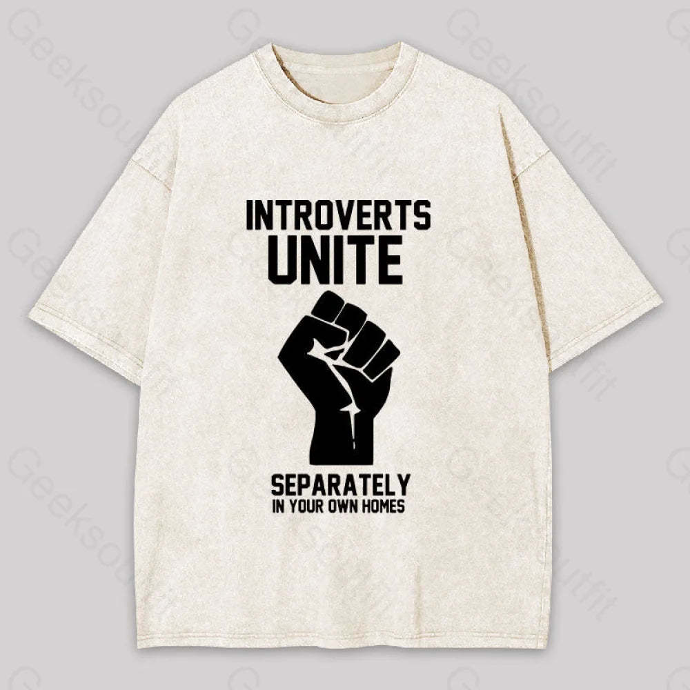 Introverts Unite Washed T-Shirt Apricot / S