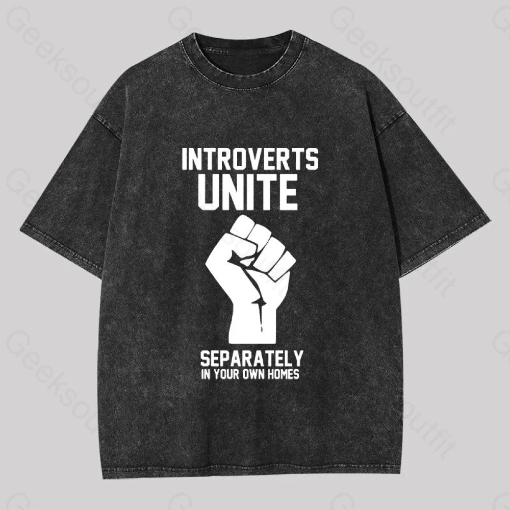 Introverts Unite Washed T-Shirt Black / S