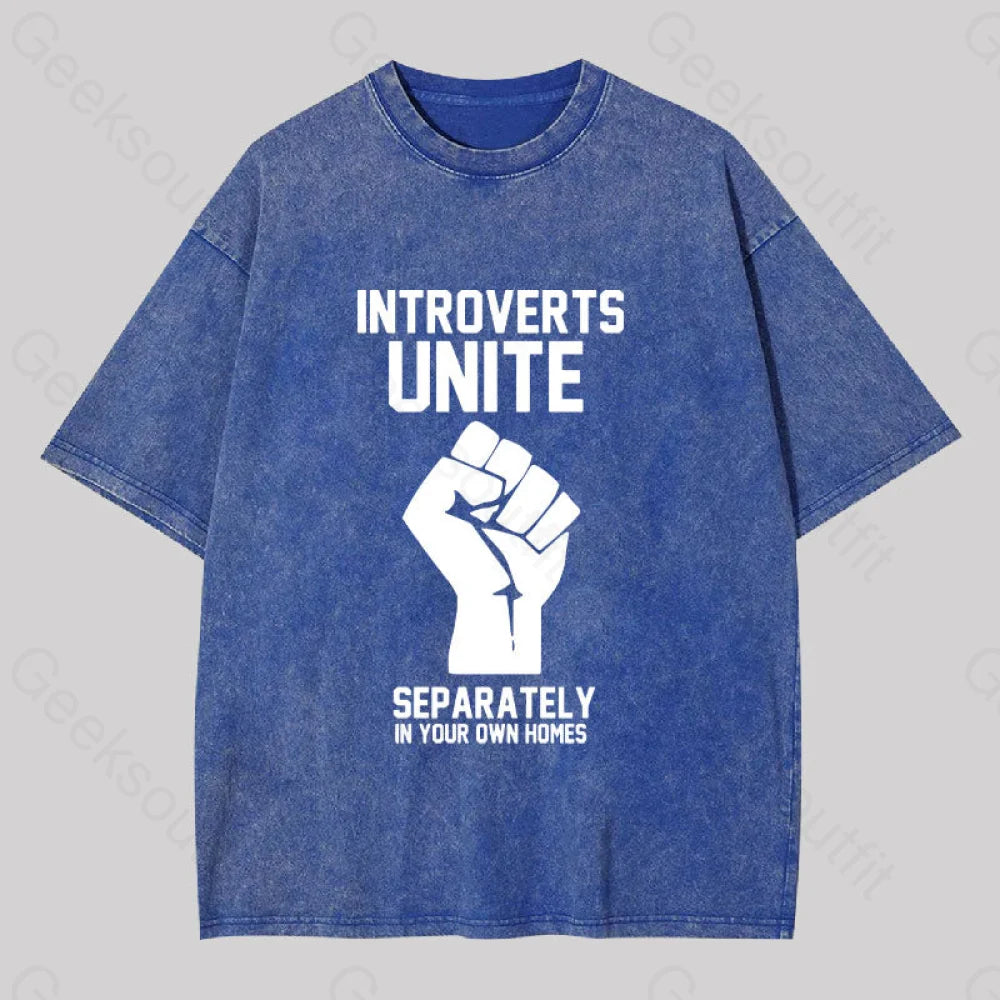 Introverts Unite Washed T-Shirt Blue / S