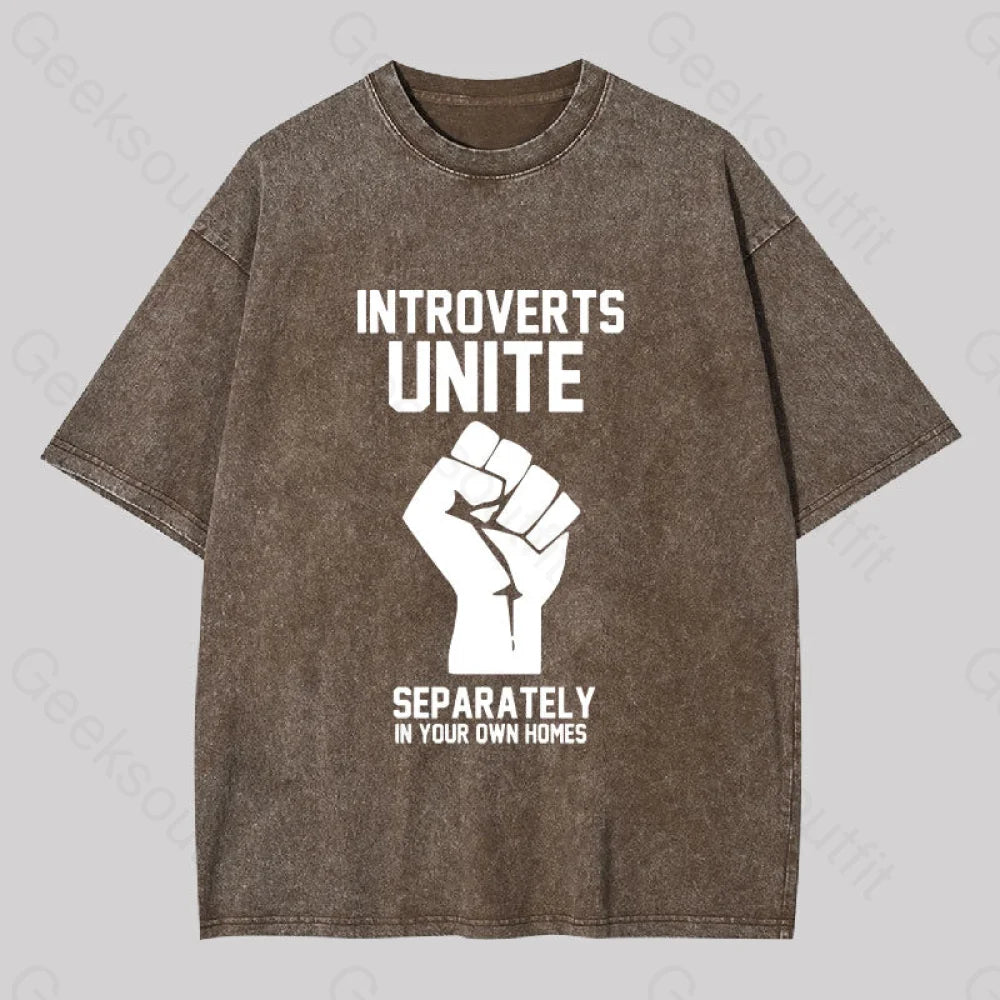 Introverts Unite Washed T-Shirt Coffee / S