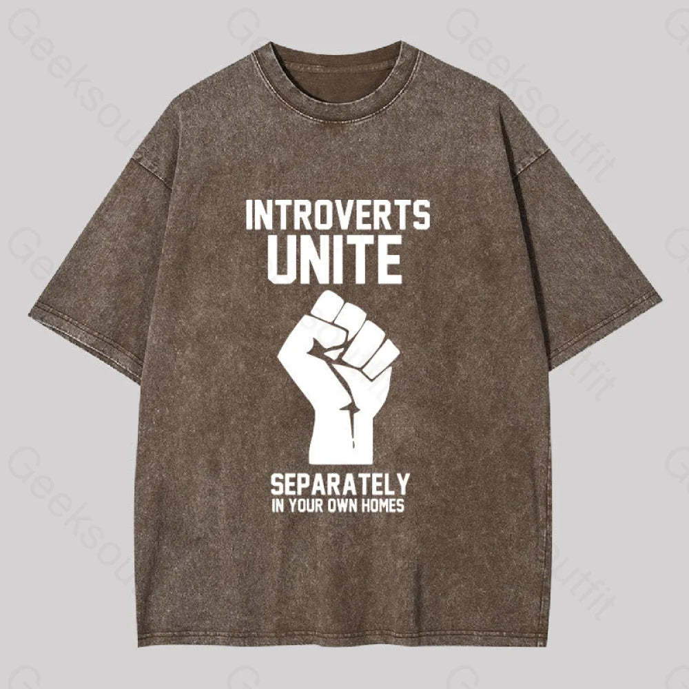 Introverts Unite Washed T-Shirt Coffee / S