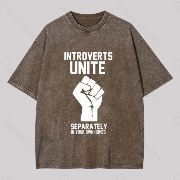 Introverts Unite Washed T-Shirt Coffee / S