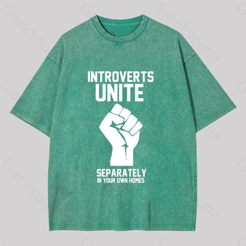 Introverts Unite Washed T-Shirt Grass Green / S