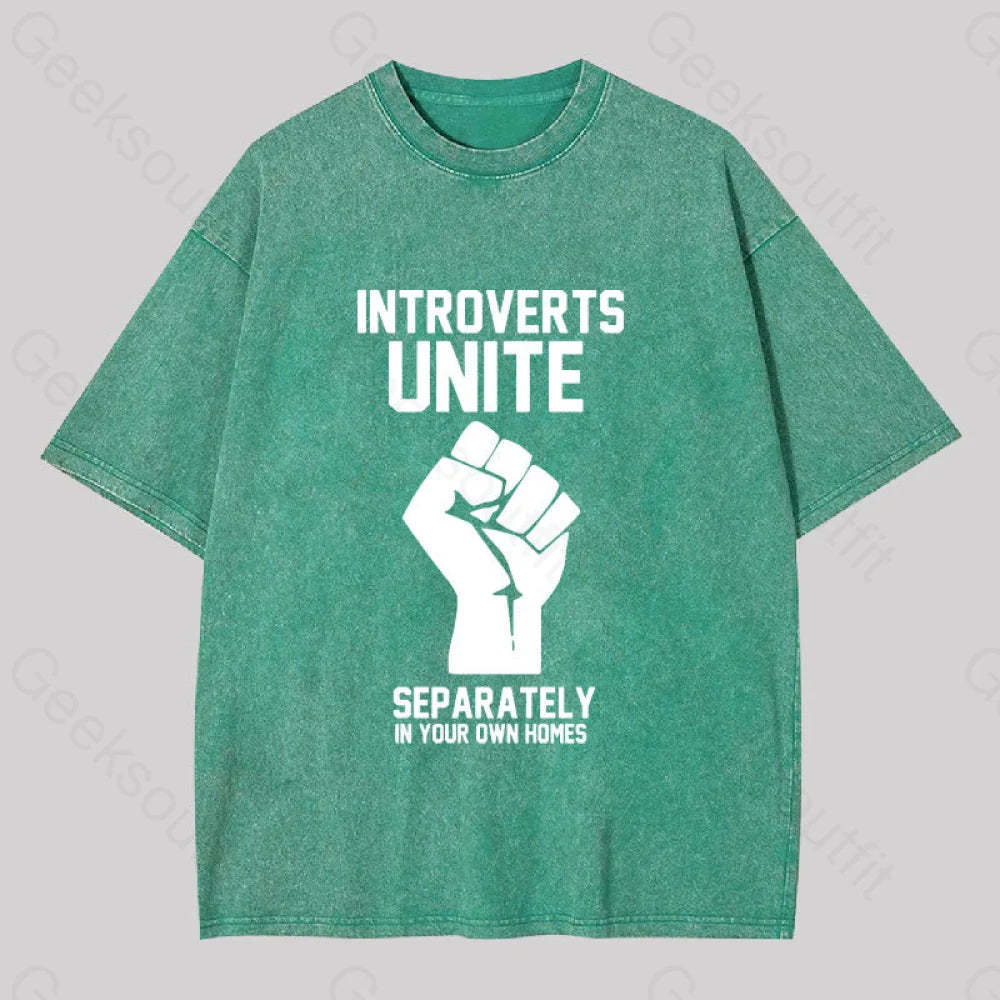 Introverts Unite Washed T-Shirt Grass Green / S