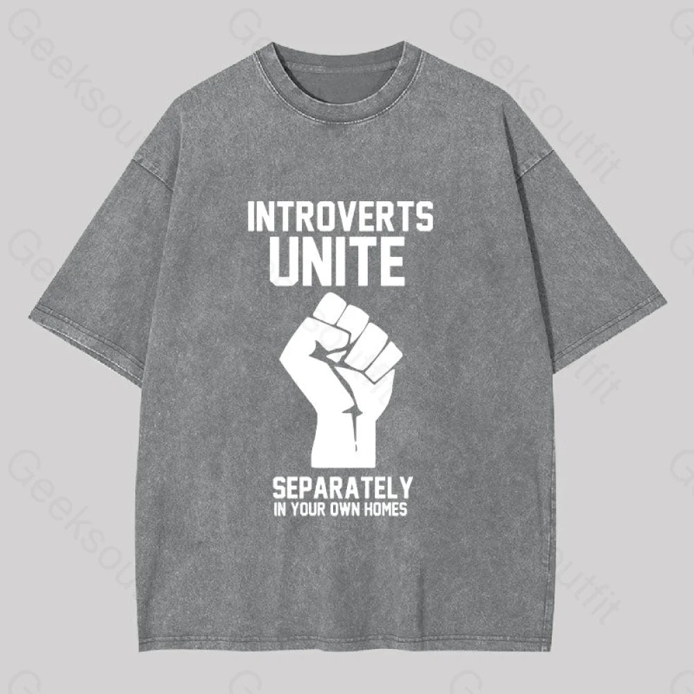 Introverts Unite Washed T-Shirt Grey / S