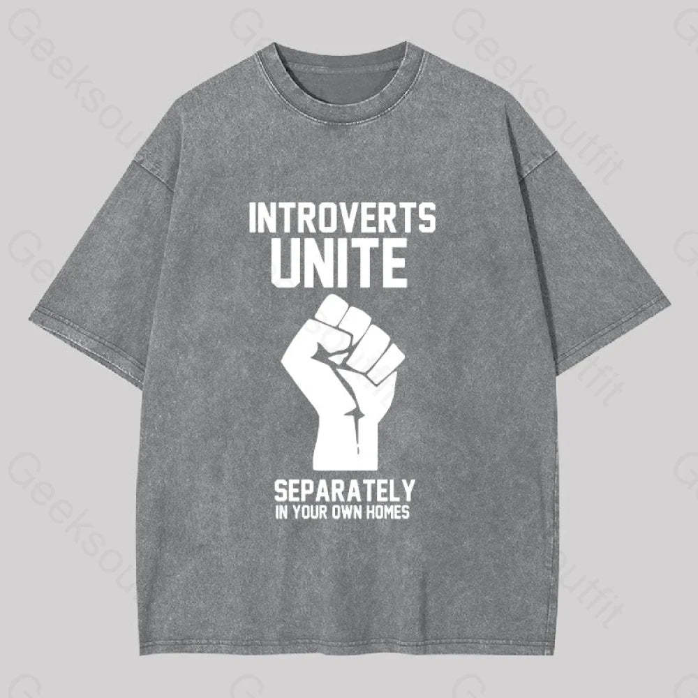 Introverts Unite Washed T-Shirt Grey / S