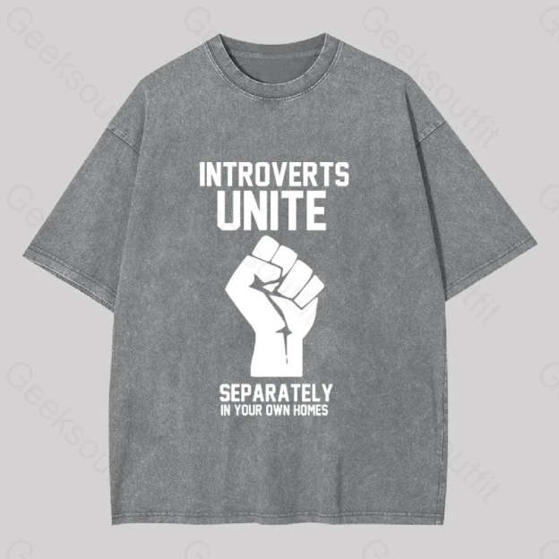 Introverts Unite Washed T-Shirt Grey / S