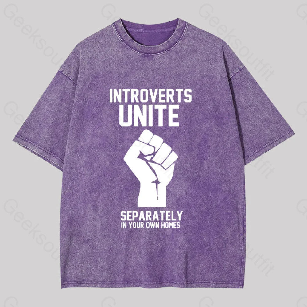 Introverts Unite Washed T-Shirt Purple / S