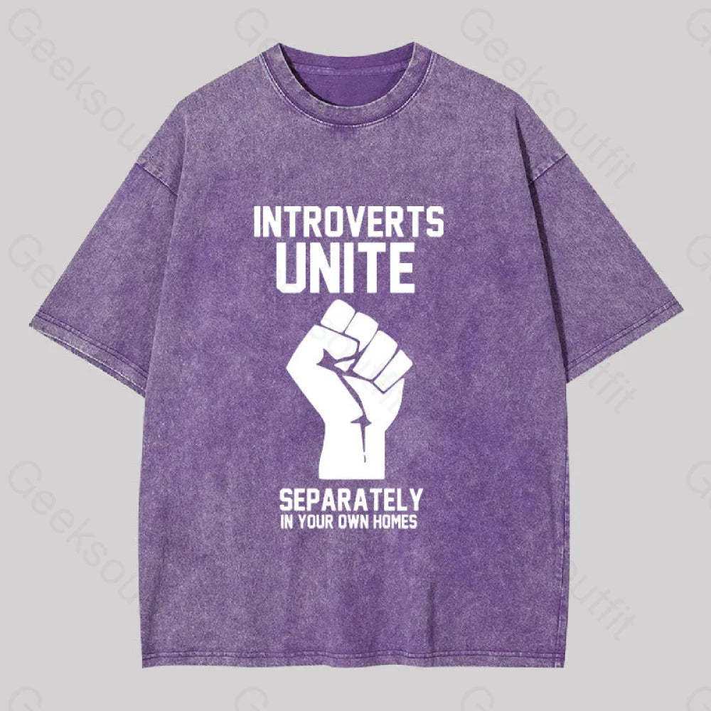 Introverts Unite Washed T-Shirt Purple / S