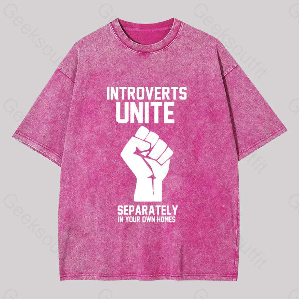 Introverts Unite Washed T-Shirt Rose Red / S