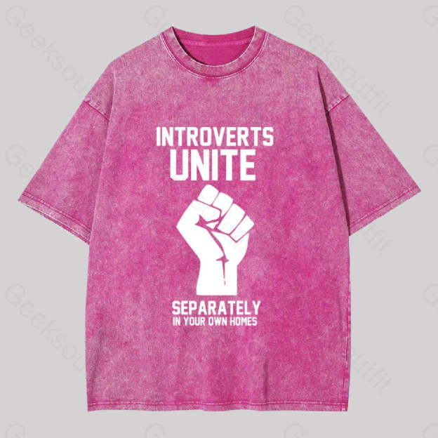 Introverts Unite Washed T-Shirt Rose Red / S