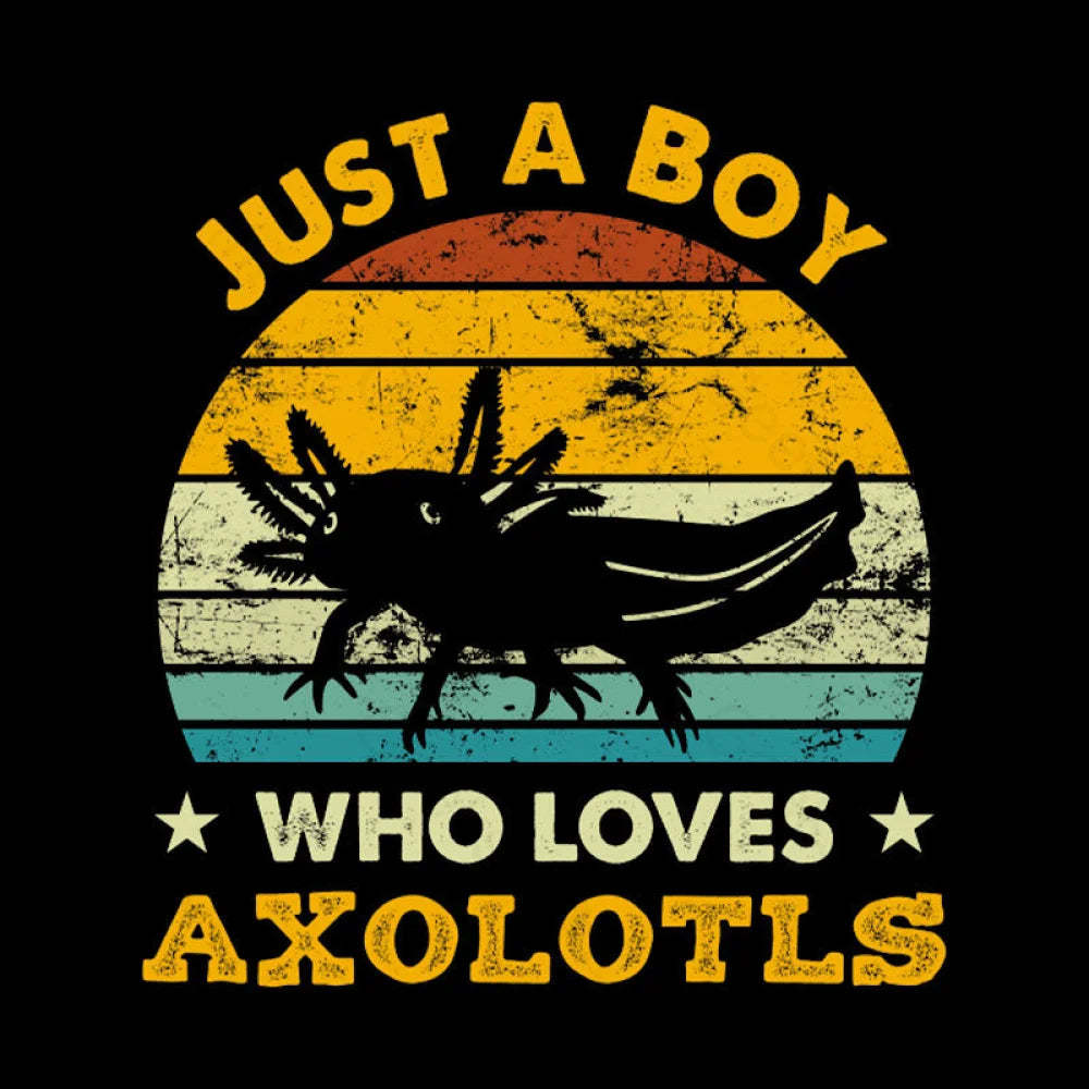 Just A Boy Who Loves Axolotls Geek T-Shirt