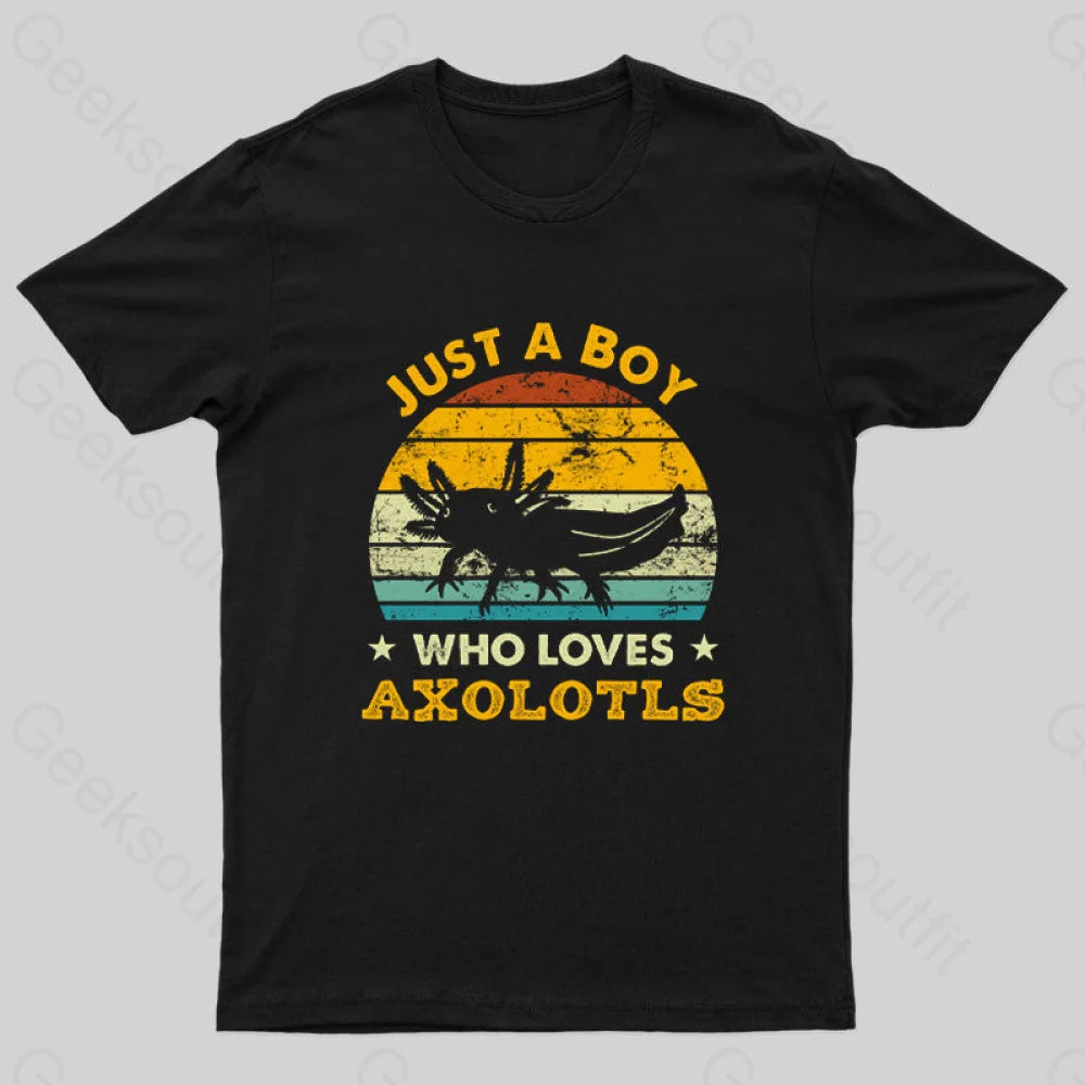 Just A Boy Who Loves Axolotls Geek T-Shirt Black / S