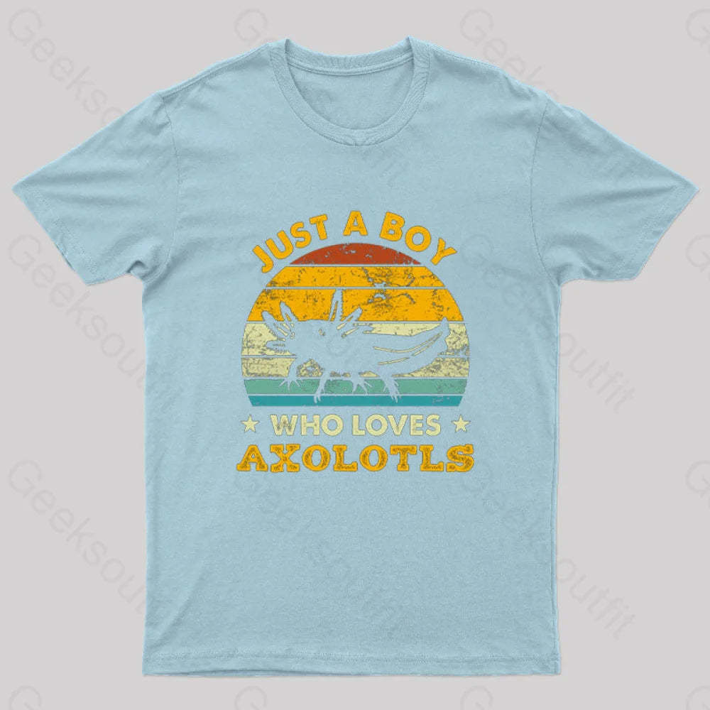 Just A Boy Who Loves Axolotls Geek T-Shirt Light Blue / S