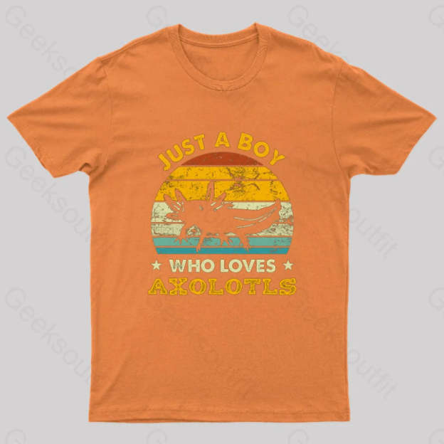Just A Boy Who Loves Axolotls Geek T-Shirt Orange / S
