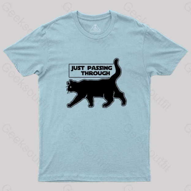 Just Passing Through T-Shirt Light Blue / S Yc
