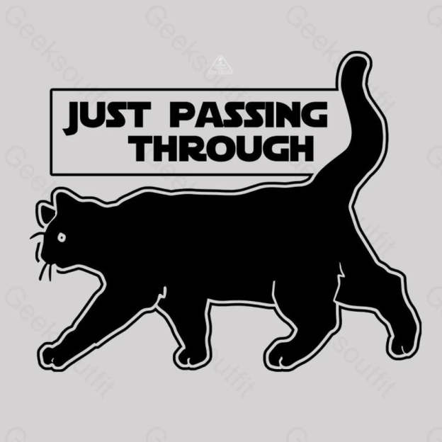 Just Passing Through T-Shirt Yc