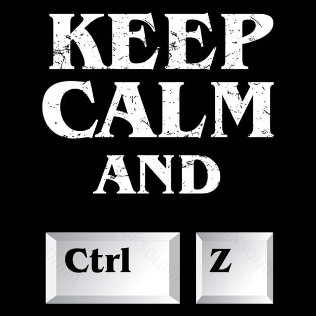 Keep Calm And Ctrl Z Geek T-Shirt
