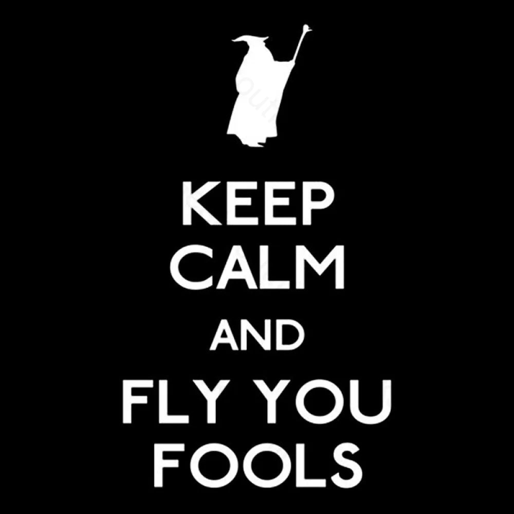 Keep Calm You Fools Geek T-Shirt
