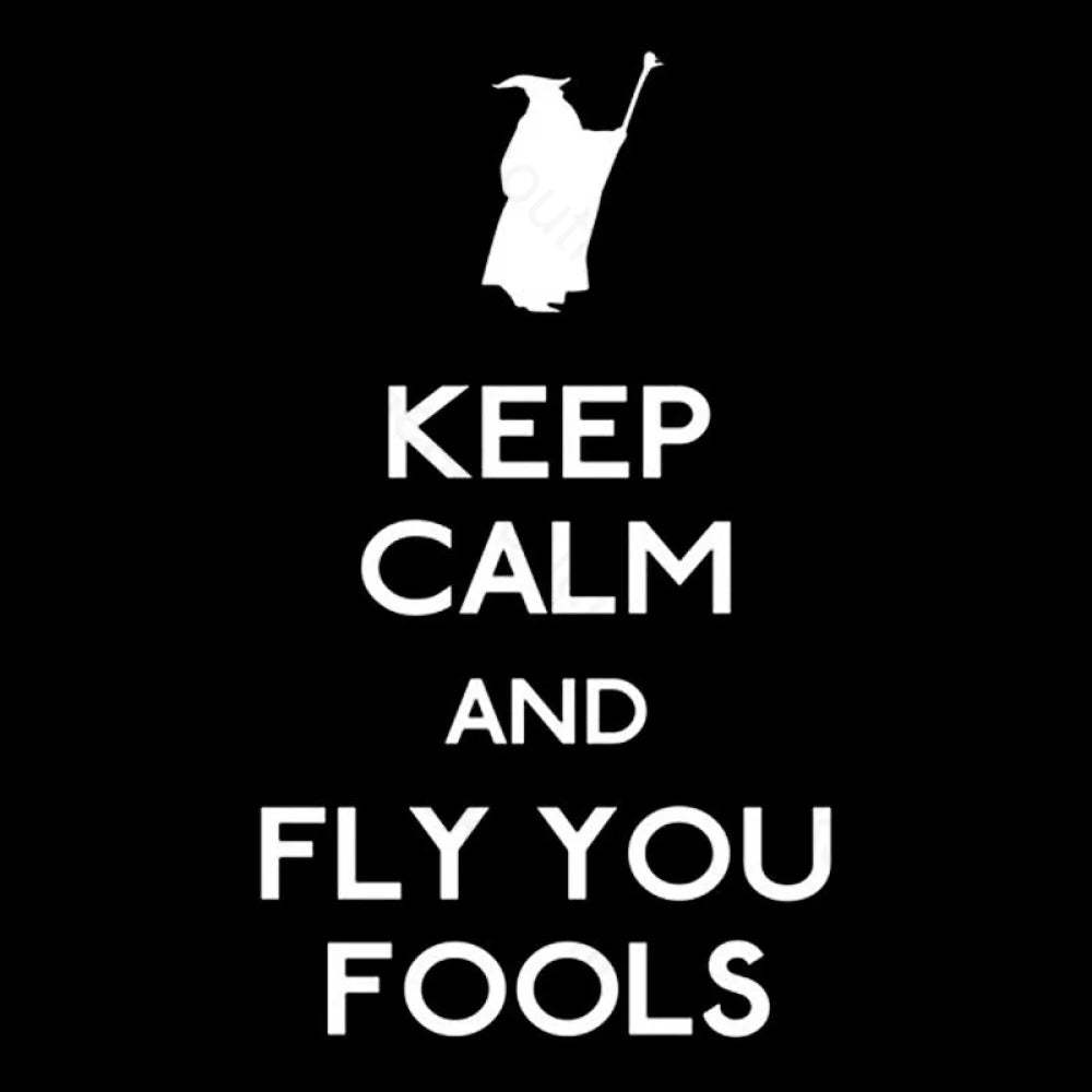 Keep Calm You Fools Geek T-Shirt