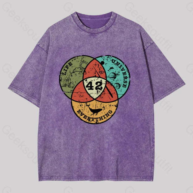 Life The Universe & Everything Washed T-Shirt Purple / S