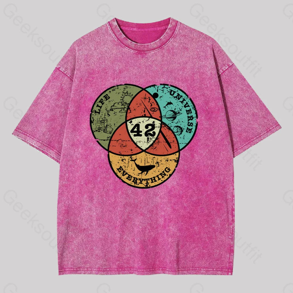 Life The Universe & Everything Washed T-Shirt Rose Red / S