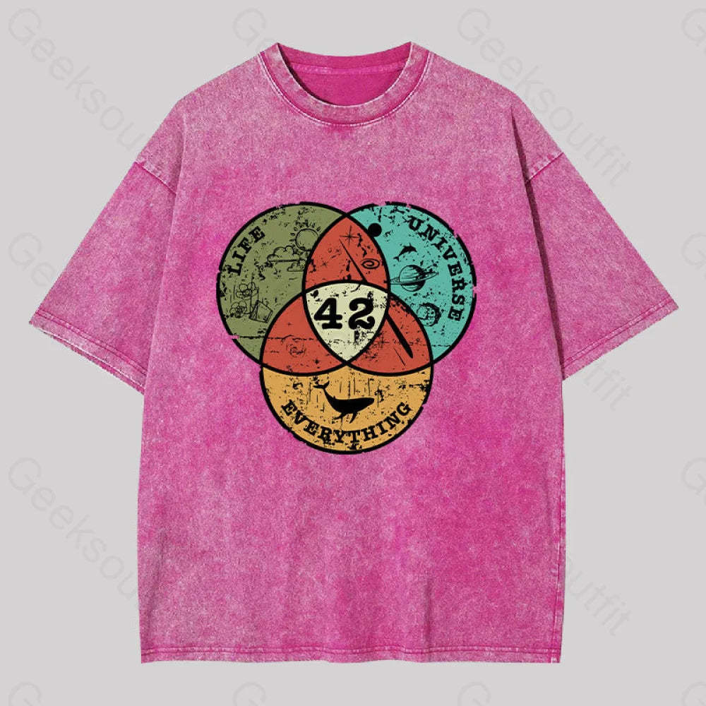Life The Universe & Everything Washed T-Shirt Rose Red / S