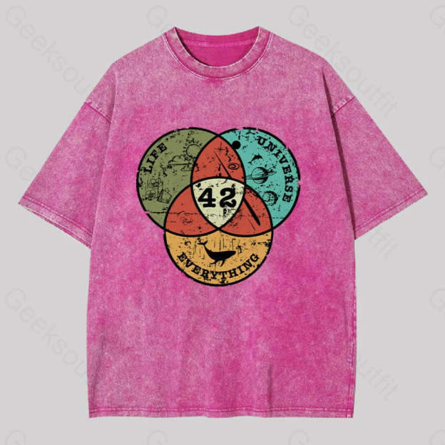 Life The Universe & Everything Washed T-Shirt Rose Red / S