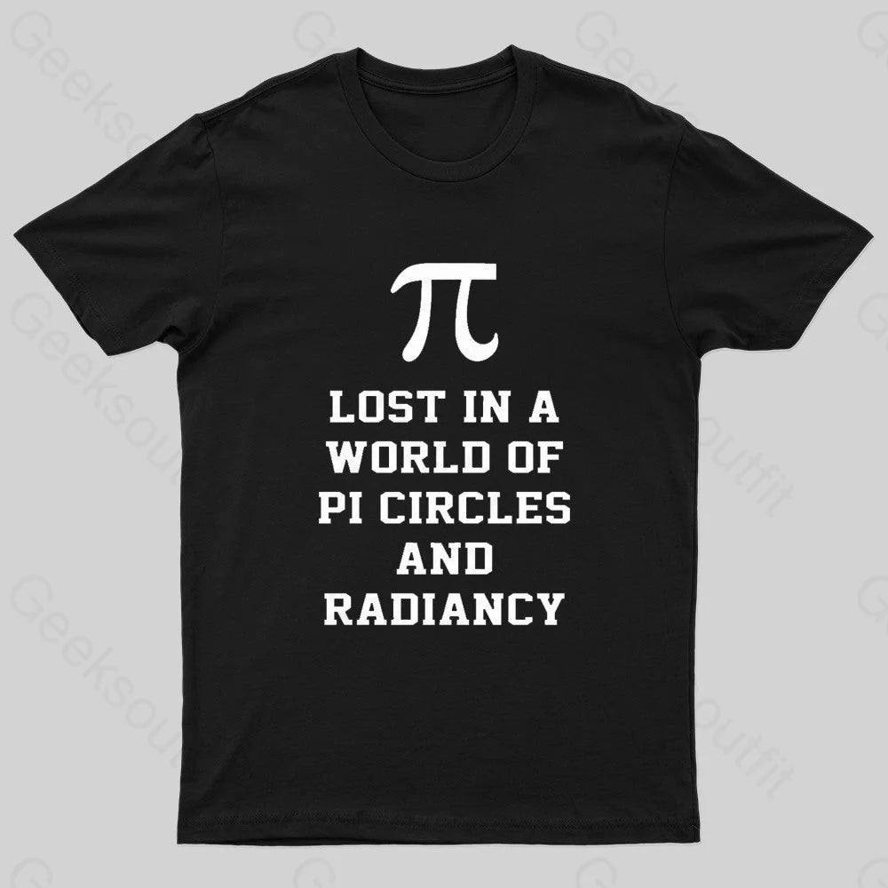 Lost In A World Of Pi Geek T-Shirt Black / S