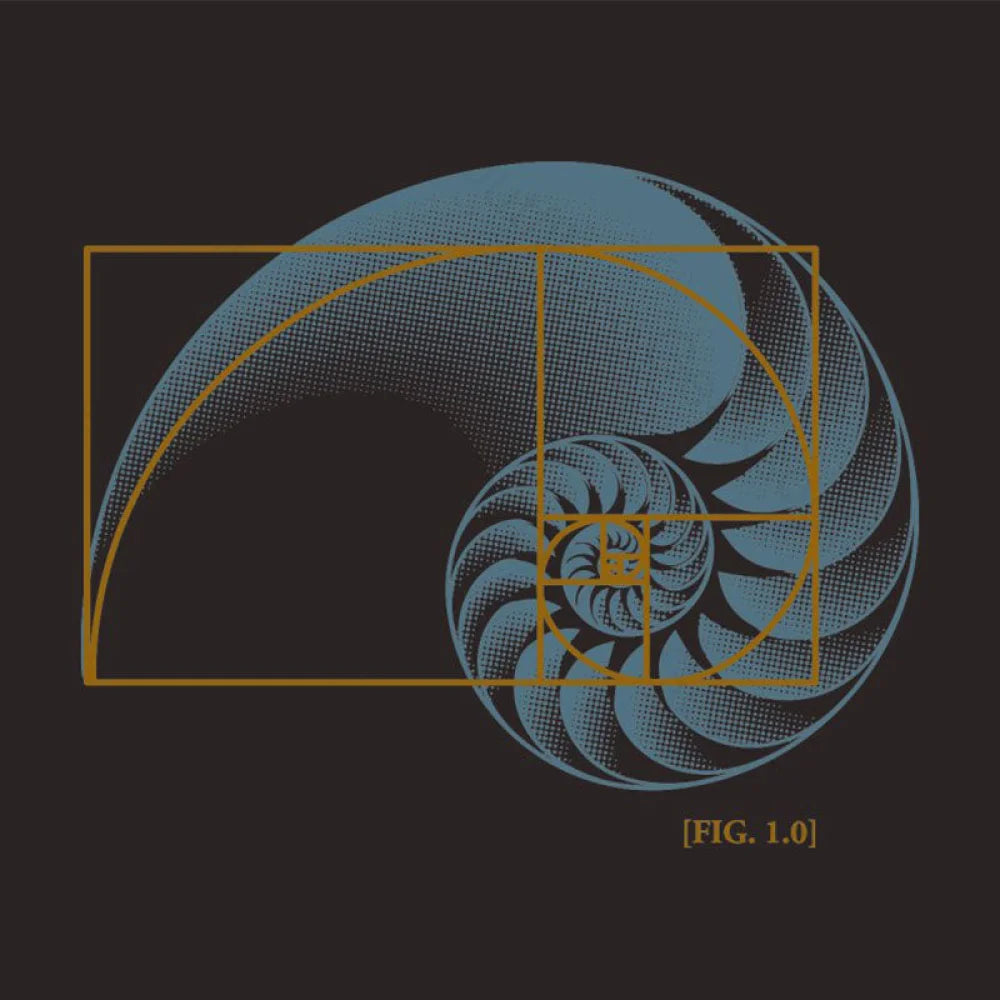 Math In Nature T-Shirt